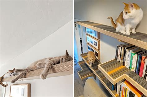 Cat Library Custom Cat Climbing Shelves Great Catification Inspiration