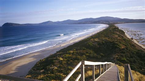 The Neck Bruny Island Tasmania Attractions Lonely Planet