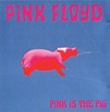 Pink Floyd - Pink Is The Pig (1990, CD) | Discogs