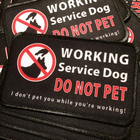 Working Service Dog Do Not Pet Patch Vest Cape Harness Etsy