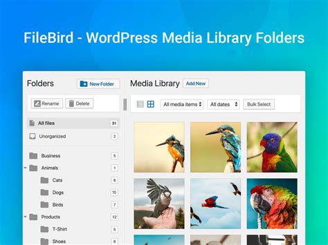 The Best Wordpress Document Library Plugins