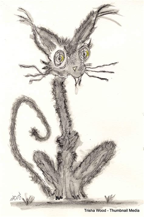 Crazy Cat Crazy Cats Drawings Painting And Drawing