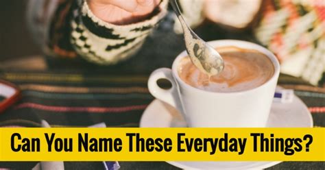 Can You Name These Everyday Things Quizpug
