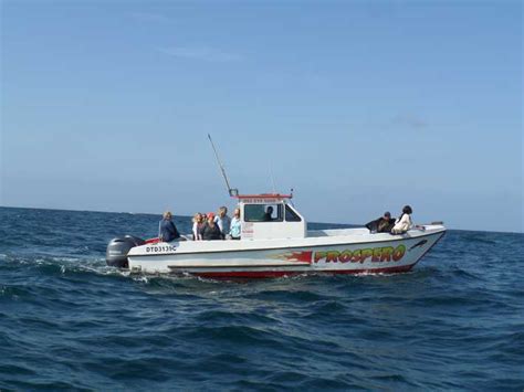 Durban 30 Minute Harbor Boat Cruise Getyourguide