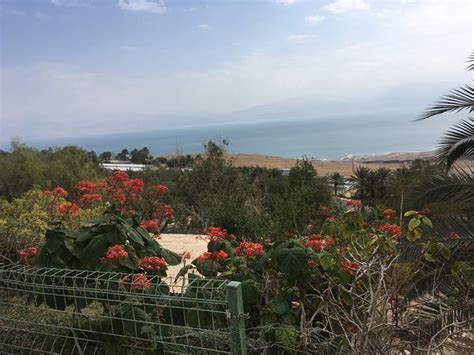 Ein Gedi Botanical Garden Updated 2020 All You Need To Know Before You