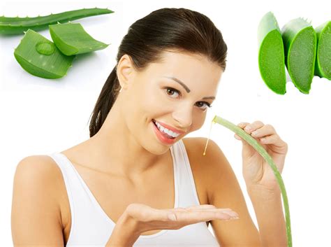 Ada beberapa bahan alami yang bisa digunakan sebagai obat jerawat, antara lain madu, lidah buaya, minyak kelapa, perasan jeruk lemon, putih telur, tomat, hingga bawang putih. Cara Menghilangkan Jerawat Dengan Cepat Dalam waktu 1 - 3 ...