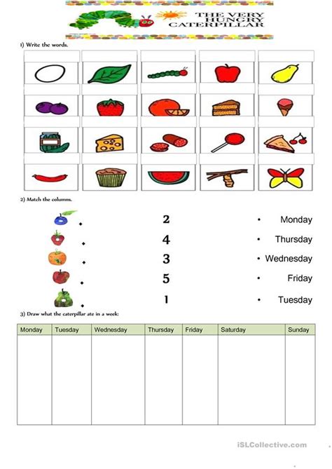 Initially, the caterpillar in the story is small. 'The very hungry Caterpillar' worksheet - English ESL Worksheets for distance learning and ...