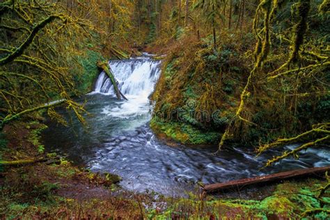Lower North Falls At Silver Falls State Park Stock Photo Image Of