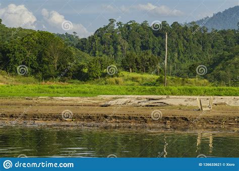 Beauty In Nature Surrounding Tropical Rainforest Landscape Stock Image