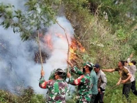 TNI Polri Memburu Pelaku Pembakar Hutan Di Aceh Tengah Tagar
