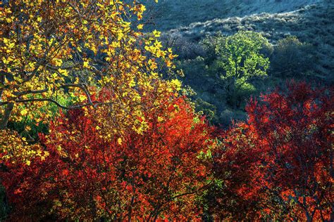 The Colors Of A Beautiful Fall Photograph By Lynn Bauer