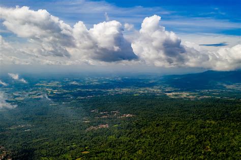 Birds Eye View