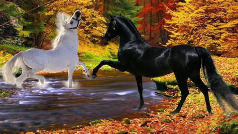 Beautiful Autumn Horses Wallpapers Wallpaper Cave