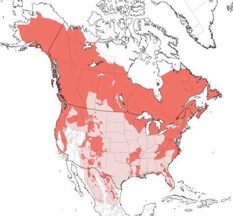 States With Most Bigfoot Sightings In 2020 Cryptozoology Myths And
