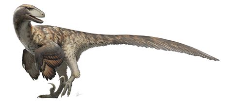 Jurassic Park Got It Wrong Research Indicates Raptors Didnt Hunt In Packs
