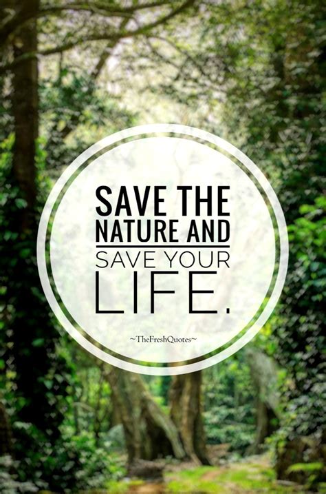 Nature Will Safer Without Human Being Do You Agree