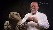 El penacho de Moctezuma. Plumaria del México antiguo - YouTube