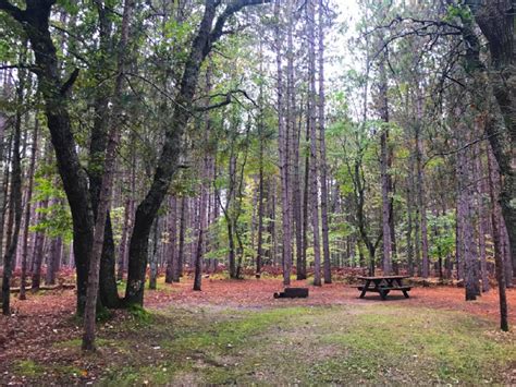 Upper Manistee River State Forest Campground Michigan
