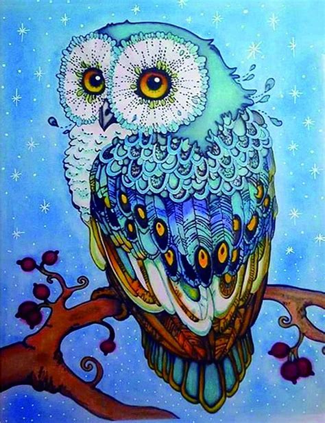 Xhlemon Diamond Painting Kits For Adults Kids 5d Diy Owl