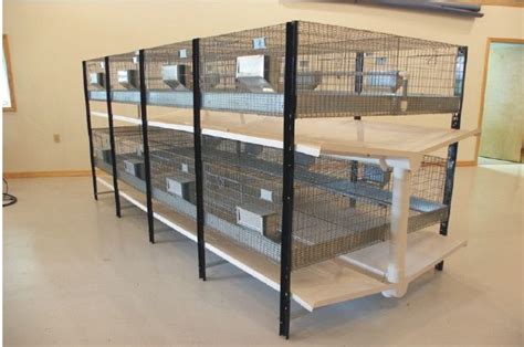 Bass Flush Kleen Caging System | Rabbit cages, Rabbit farm, Rabbit cage