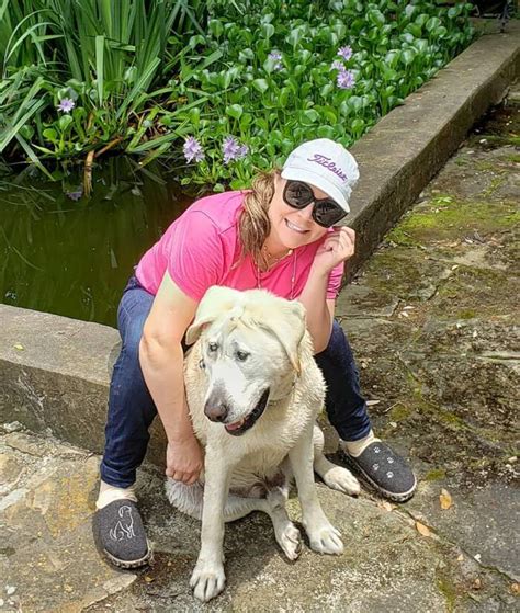 Amore e psiche, 1793, antonio canova. Cane viene rifiutato più volte per il suo aspetto, ma alla ...