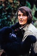 Gorillas in the Mist – the story of Dian Fossey | DinoAnimals.com