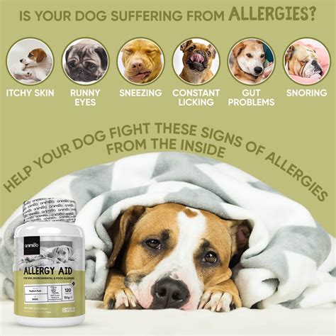 Allergy Aid For Dogs Natural Allergy Tablets For Dogs Animigo