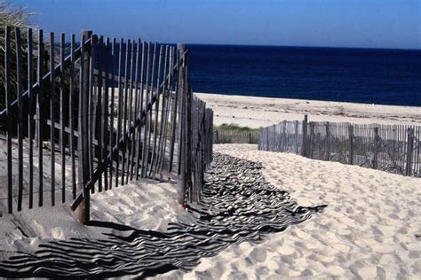 Provincetown Image Gallery Lonely Planet Cape Cod Beaches Race