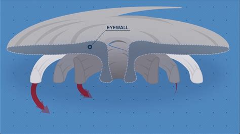 What Is The Eyewall Of A Hurricane Explainer