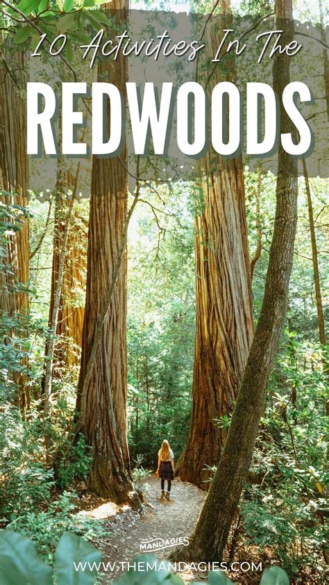 10 Awe Inspiring Things To Do In Redwood National Park The Mandagies