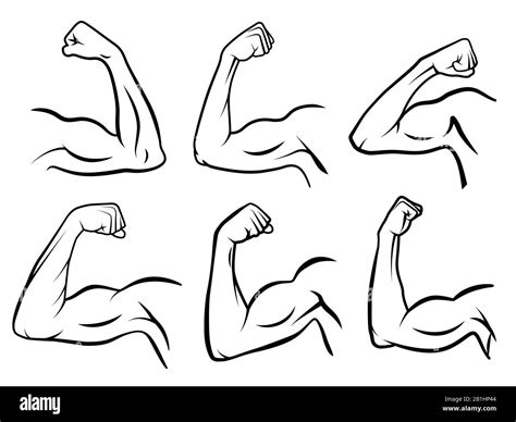 Powerful Hand Muscle Strong Arm Muscles Hard Biceps And Hands