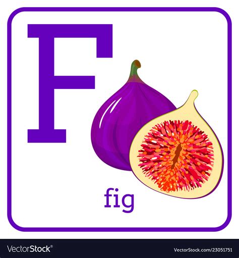 fruits that start letter f encycloall