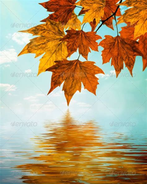 Autumn Water Reflection Background Autumn Painting Water Reflections