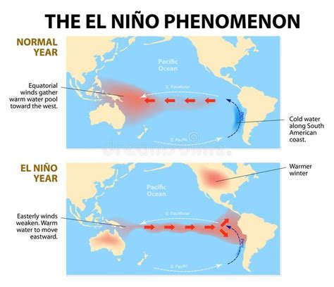 El Nino Phenomenon Diagram Shows The El Nino Phenomenon El Ni脙卤o Is A