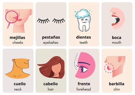 English To Spanish Parts Of The Face Spanish Flashcards