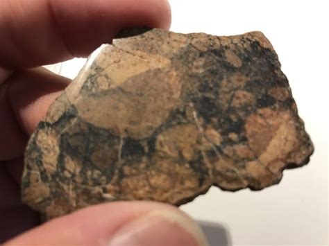 Nwa 10971 Full Slice Achondrite Hed Meteorite Eucrite Catawiki