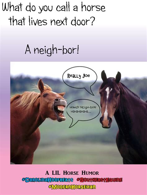 Pin By Modern Horseman On Horse Humor Funny Horses Horses Humor