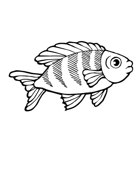 Coloring pages for kids fish coloring pages. Marine Animal Coloring Pages