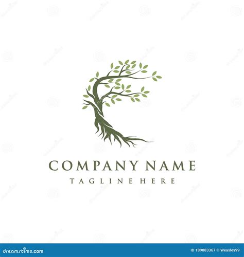 Tree And Roots Logo Design Vector Isolated Abstract Mangrove Tree Logo