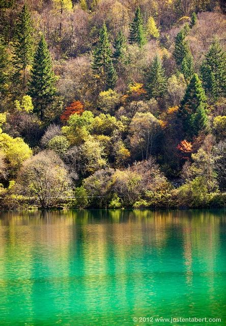 Panda Lake Jiuzhai Valley National Park National Parks Paradise