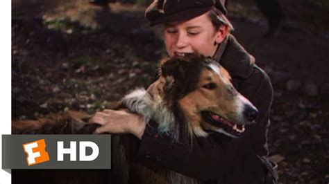 Lassie Come Home 1010 Movie Clip My Lassie Come Home 1943 Hd