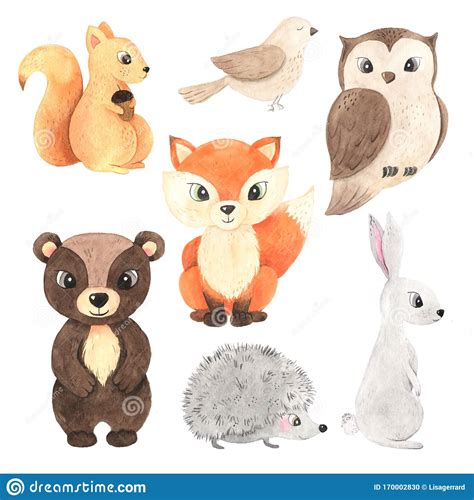 Cute Cartoon Watercolor Forest Animals Set Stock