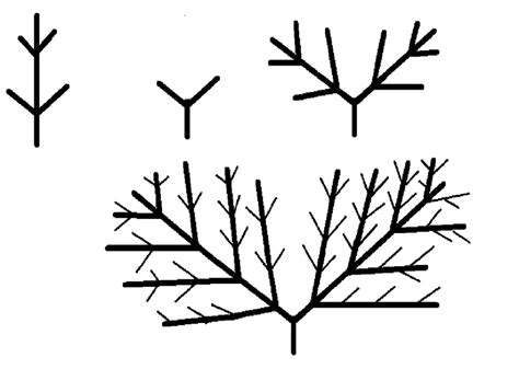 However, different varieties require different care. Allotment Garden: Pruning for Fan and Espalier Fruit Trees