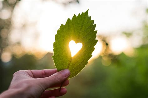 Maybe you would like to learn more about one of these? 38 Inspirational Love Quotes to Stir Your Heart - Virtues For Life