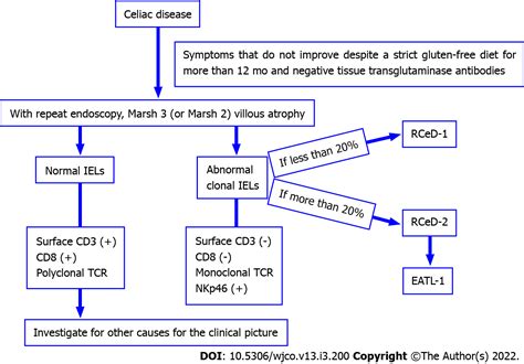 Possible Relationship Between Refractory Celiac Disease And Malignancies