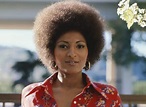 Details of Pam Grier's sister, Gina Grier-Townsie