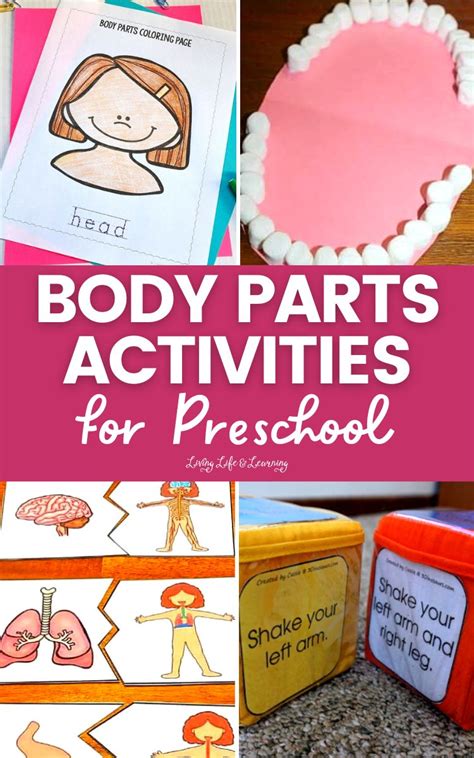 Body Parts Activities For Preschool Story