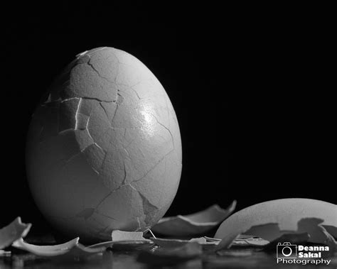 Broken Eggs Still Life Assignment Winter 2012 Composition