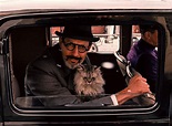 Jeff Goldblum in The Grand Budapest Hotel (2014) | Budapest hotel, Cat ...