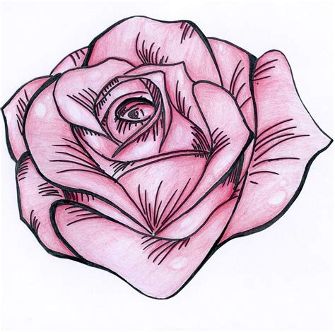 Simple Pink Rose Drawing Gallery